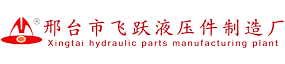 Xingtai Feiyue hydraulic parts factory